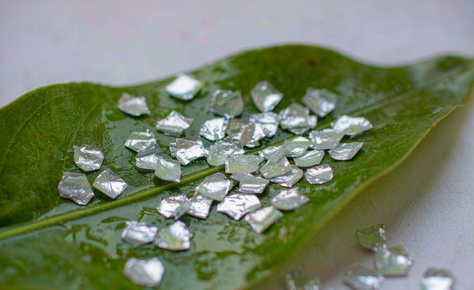 Biodegradable Glitter: Cellulose-Based Sparkle and What "Biodegradable" Actually Certifies